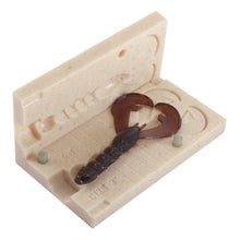 Load image into Gallery viewer, Soft Plastic Creature Bug Mold Jig Trailer 3 Inch Bugmolds USA
