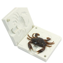 Load image into Gallery viewer, Soft Plastic Crab Fishing Lure Mold 1.8 Inch Bugmolds USA