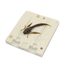 Load image into Gallery viewer, Soft Plastic Lure Mold Insect hellgramitte Fly Larvae 3 Inch Bugmolds USA