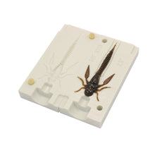 Load image into Gallery viewer, Soft Plastic Lure Mold Insect hellgramitte Fly Larvae 3 Inch Bugmolds USA