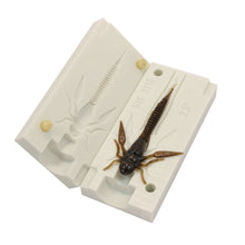 Load image into Gallery viewer, Soft Plastic Lure Mold Insect hellgramitte Fly Larvae 3 Inch Bugmolds USA