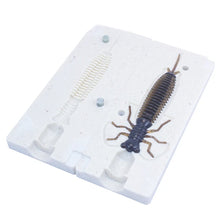 Load image into Gallery viewer, Soft Plastic Larva Bug Mold Fishing Lure 3 Inch Bugmolds USA