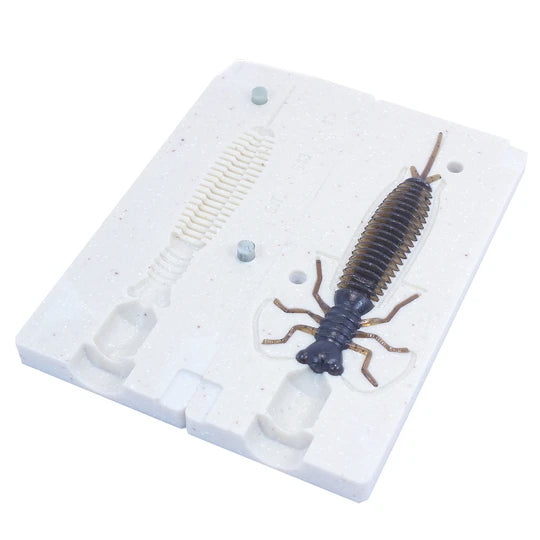 Soft Plastic Larva Bug Mold Fishing Lure 3 Inch Bugmolds USA