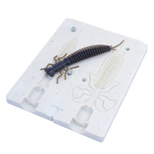 Load image into Gallery viewer, Soft Plastic Larva Bug Mold Fishing Lure 3 Inch Bugmolds USA