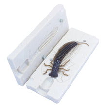 Load image into Gallery viewer, Soft Plastic Larva Bug Mold Creature Bait 4 Inch Bugmolds USA