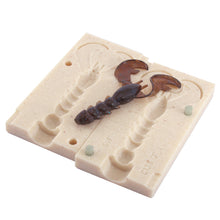 Load image into Gallery viewer, Soft Plastic Creature Bug Mold Jig Trailer 3 Inch Bugmolds USA