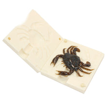 Load image into Gallery viewer, Soft Plastics Crab Bait Mold 3 Inch Saltwater Fishing Lure Bugmolds USA