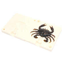 Load image into Gallery viewer, Soft Plastics Crab Bait Mold 3 Inch Saltwater Fishing Lure Bugmolds USA