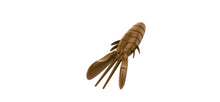 Load image into Gallery viewer, Soft Plastic Crayfish Bait Mold Crayfish Fishing Lure 4 In Bugmolds USA