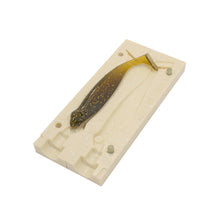 Load image into Gallery viewer, Soft Plastic Lure Mold JDM Swimbait Shad Paddle Tail 2 Inch Bugmolds USA