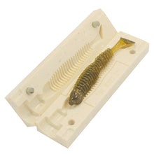 Load image into Gallery viewer, Soft Plastic Finesse Bait Mold Drop Shot Bait 3 Inch Bugmolds USA