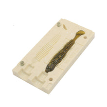 Load image into Gallery viewer, Soft Plastic Lure Bait Mold Swimbait Shad Paddle Tail 4 In Bugmolds USA