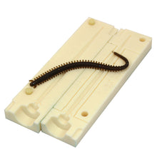 Load image into Gallery viewer, Soft Plastic Drop Shot Sandworm Mold 4 Inch Bugmolds USA