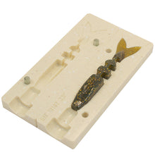 Load image into Gallery viewer, Soft Plastic Swimbait Shad Mold Swimmer 4.5 Inch Bugmolds USA